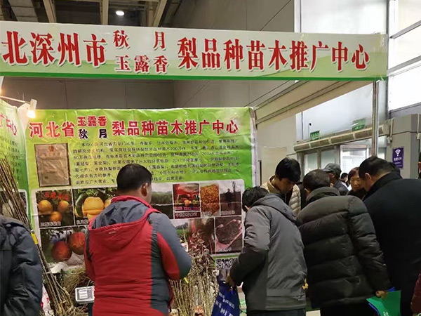 深州市玉露香梨农业开发有限公司