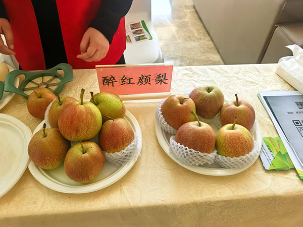 醉红颜梨